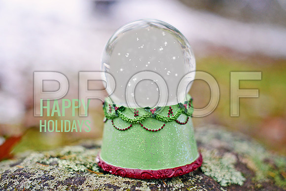 Snow Globe winter green 1