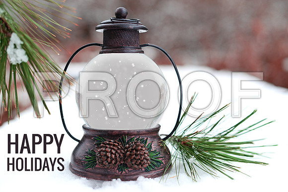Snow Globe green branch