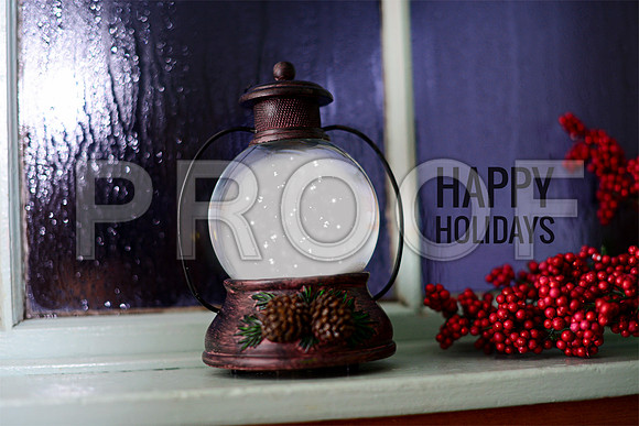Snow Globe winter window