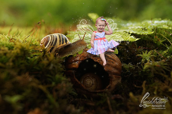 brynn fairy