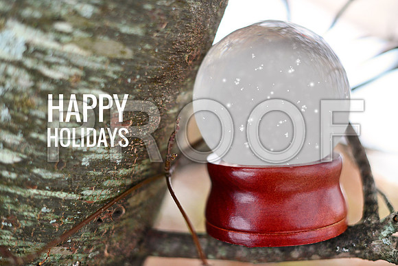 Snow Globe red 2