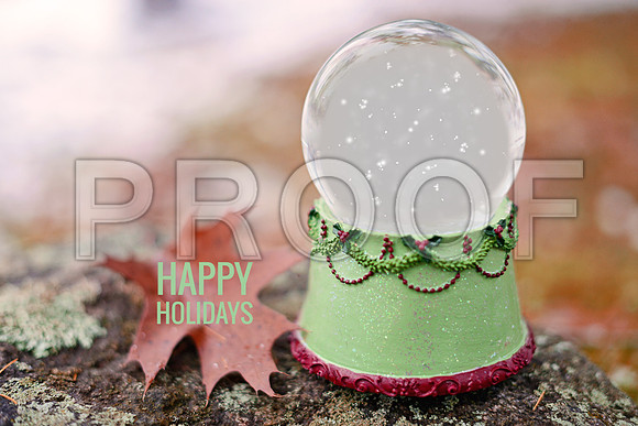 Snow Globe winter green 5