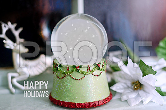 Snow Globe winter green 6